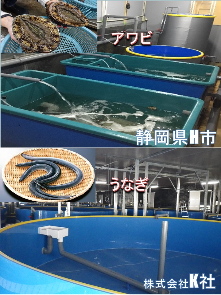 陸上養殖｜株式会社アクアテックジャパン